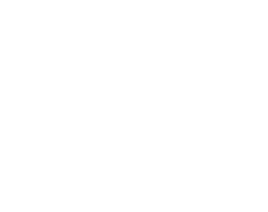logo white
